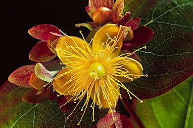 知名爆料人billbil_kun回顾2023年 涨粉4万不搞假消息标题党