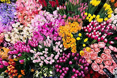 《阴角恋爱喜剧》确定登陆Switch＆Steam 怪胎男攻略日常